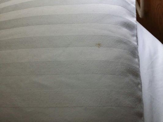 Dirty pillow