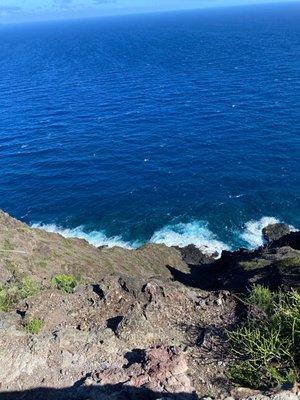 My Hawaii hiking trail.