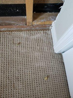 Didn't protect brand new carpet!