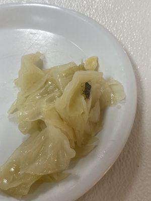 Cabbage with a roach in it.