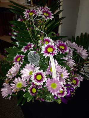 Get well basket of daisies.