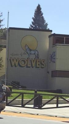 Go WOLVES!