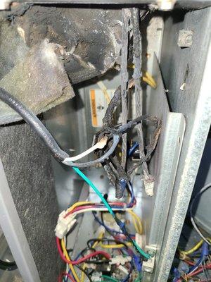 Burned wires in a a/c unit let us do a electrical safety inspection for you!