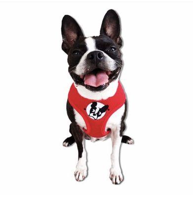 You can purchase Boston Terrier Rescue of Florida, Inc. logo dog harnesses (in different colors!) directly from their website!