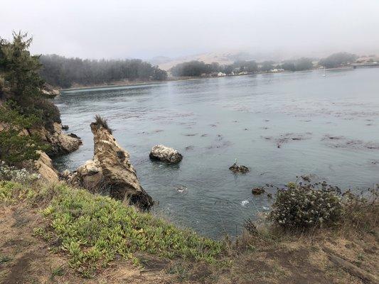 San Simeon Creek Trail