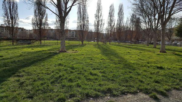 Good grass, a bit muddy, nice long running area