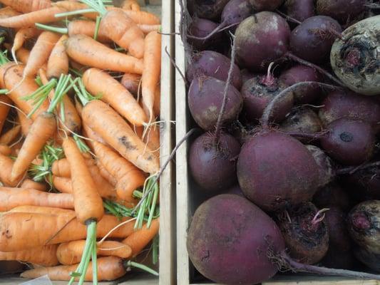 Saturday Northampton Farmers Market