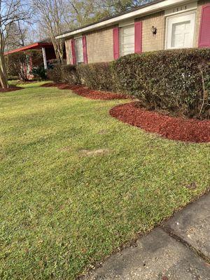 Clean up and mulch application