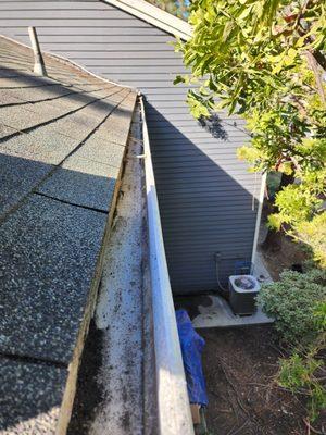 Gutter cleaning 
After