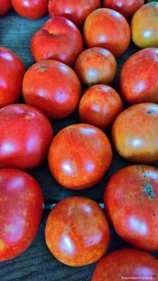 Summer tomatoes