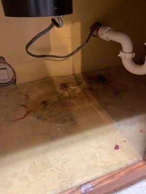 Leak under kitchen sink