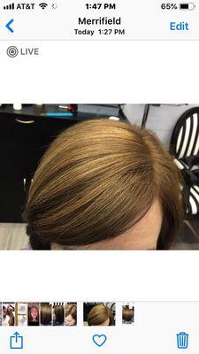 Natural Brunette Balayage