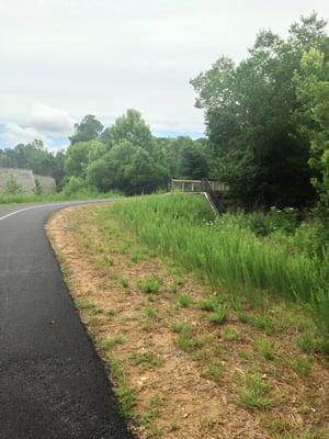 More of the walking trail surrounded by lots of greenery