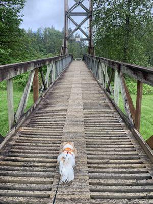 Such a cool bridge!