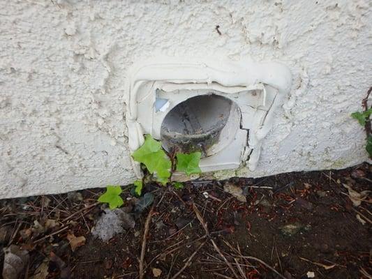 Dryer vent damper and cap missing. Allows things to enter the dryer