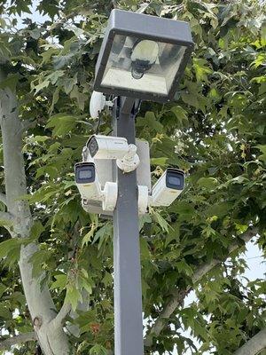 Cameras that the board and Nadine camp has planted to watch the residence reporting false information to security guards. Tow happy HOA