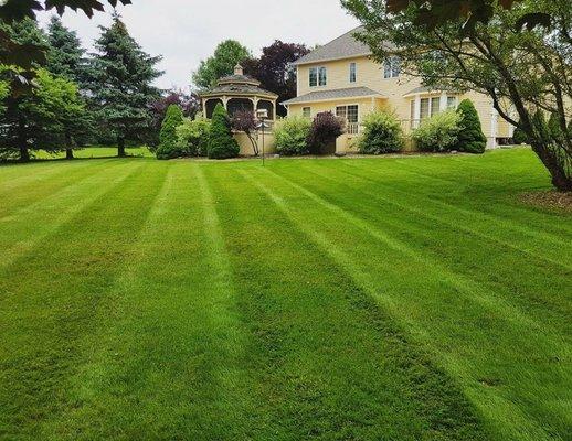 Custom Cuts Lawn and Landscape