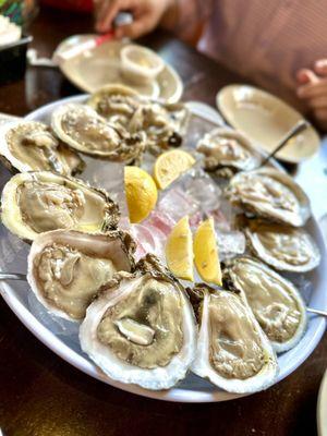 Dozen fresh oysters on the half shell