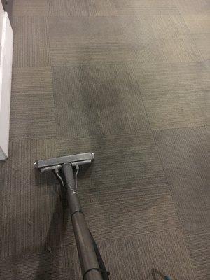 Cleaning carpet in common hallways