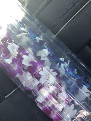 Fresh made, well packed leis