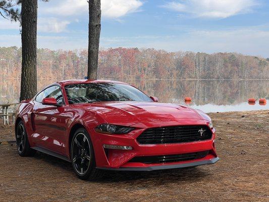 2021 Ford Mustang GT/CS