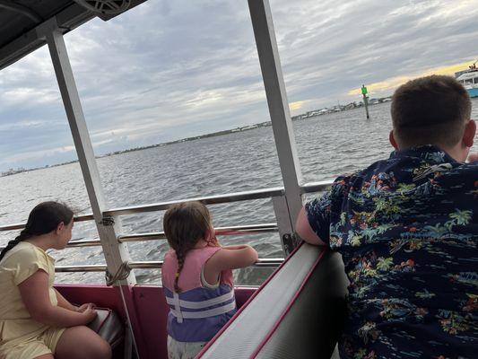 Kids watching the dolphins