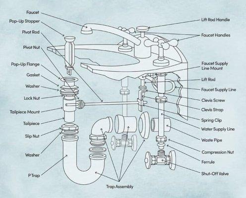 Sink anatomy