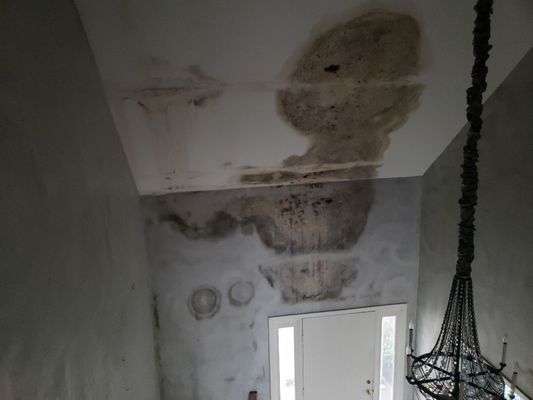 Microbial growth due to the roof leaking