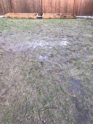 What my yard turned in to when it rained. Select homes tried to blame my dog for an inch of standing water.