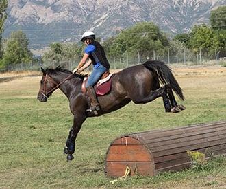 Eventing Show