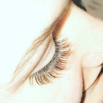 Dream Lashes