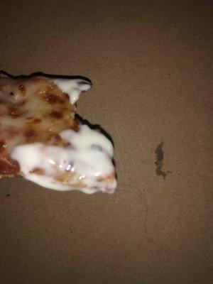 Hair cooked in pizza