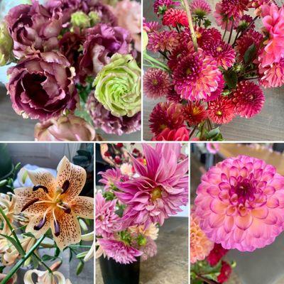 Pistil & Stamen Flower Farm and Studio