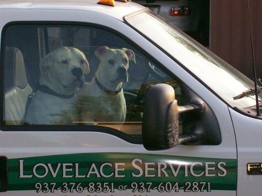 Lovelace Services