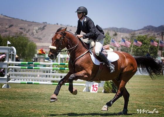 Galloping fast across the finish lie at a competition.