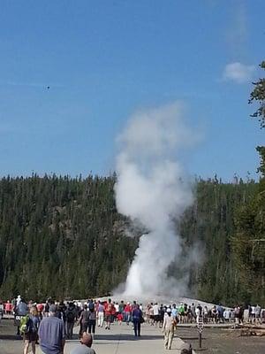 Old Faithful at Yellowstone