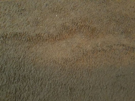 Floor caving under carpet 1