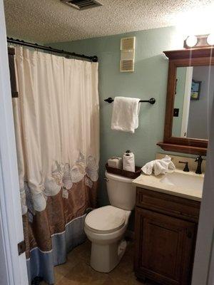 Unit 501. Master bathroom.