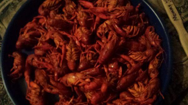 Close Up. So you can see the crawfish.  Sister-in-law plated them in a platter.