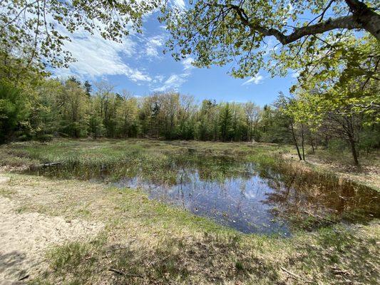 Pond along the trail