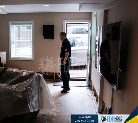 FDP Mold Remediation Process