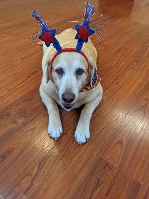 Old man Marley, gettin silly fur the holidays