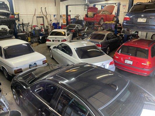 Shop packed with interesting BMWs