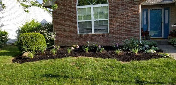 New relandscaping took old bushes and put new plants