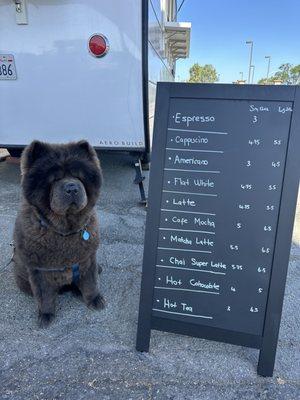 Regular menu (dog not included)