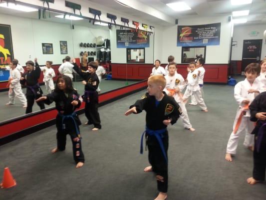 Kid group on Thursday nights doing kenpo