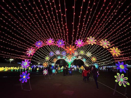 DMV Winter Lantern Festival