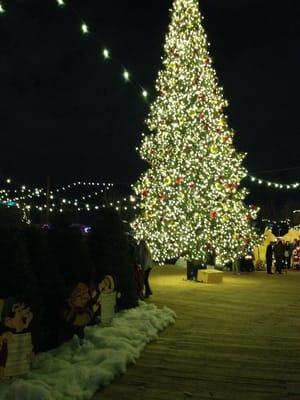 Huge beautiful Christmas tree! Huge seating area for kids and parents to watch jumbotron, a cute elf cartoon.