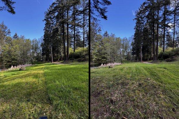 Strait line Mow before and after wash