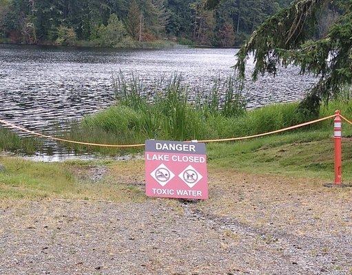 Toxic water this weekend